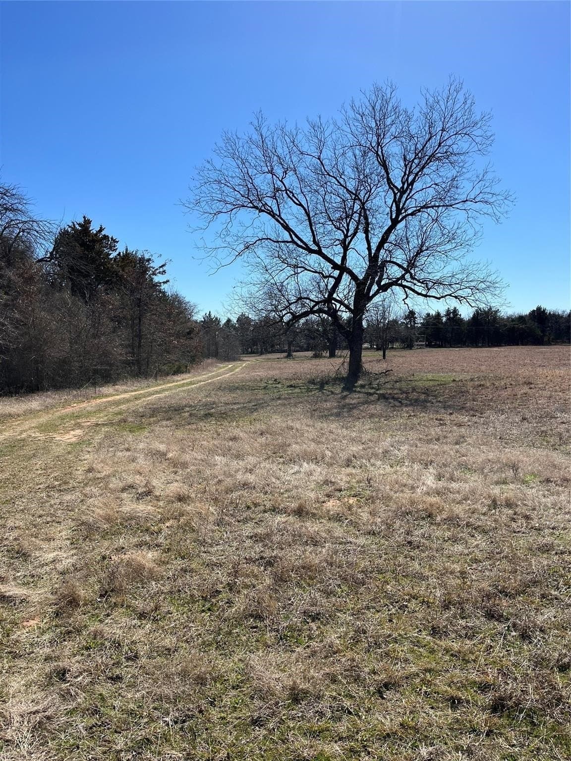 76.55 acres in Cooke County - photo 17