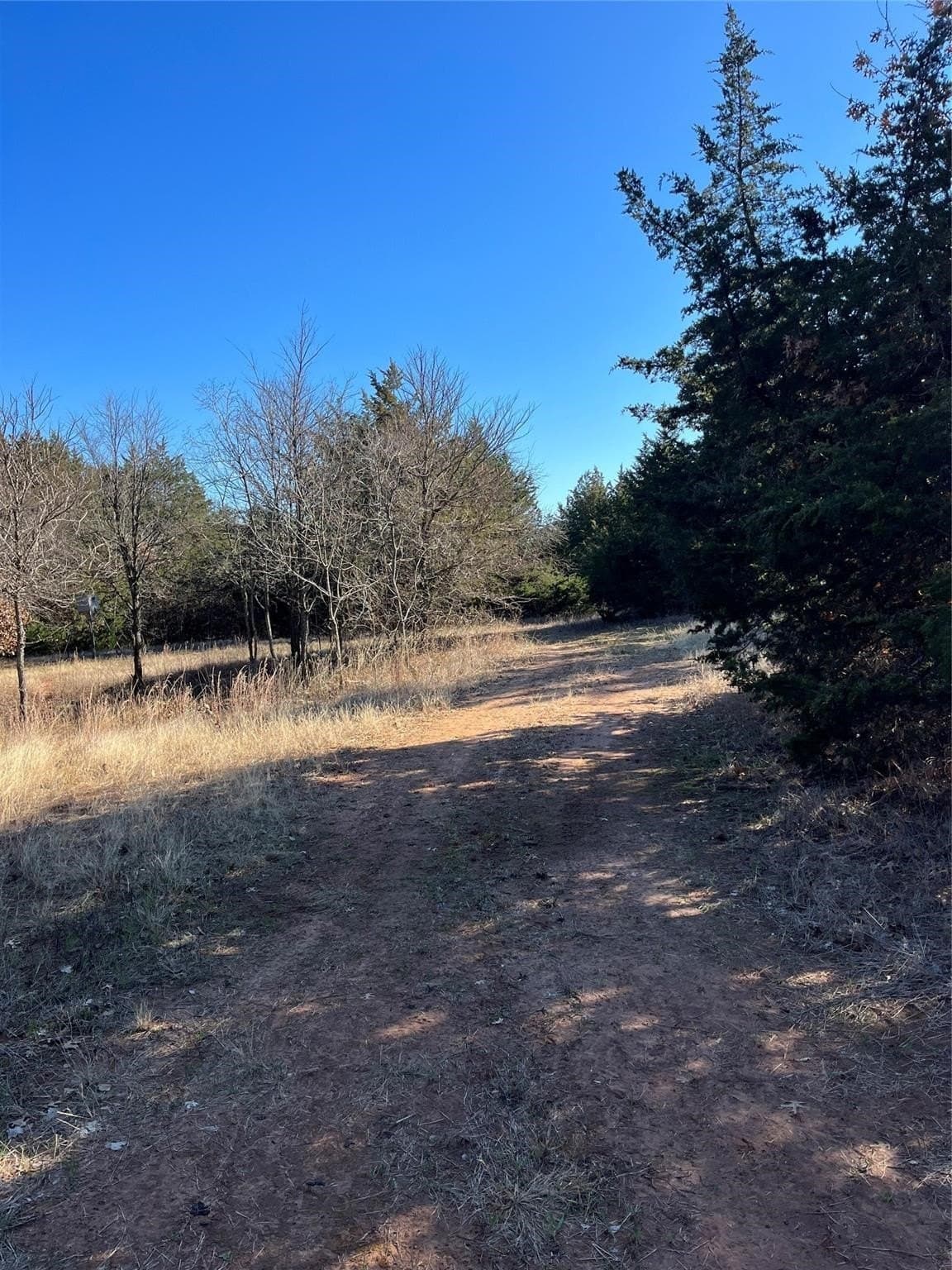 76.55 acres in Cooke County gallery image 4