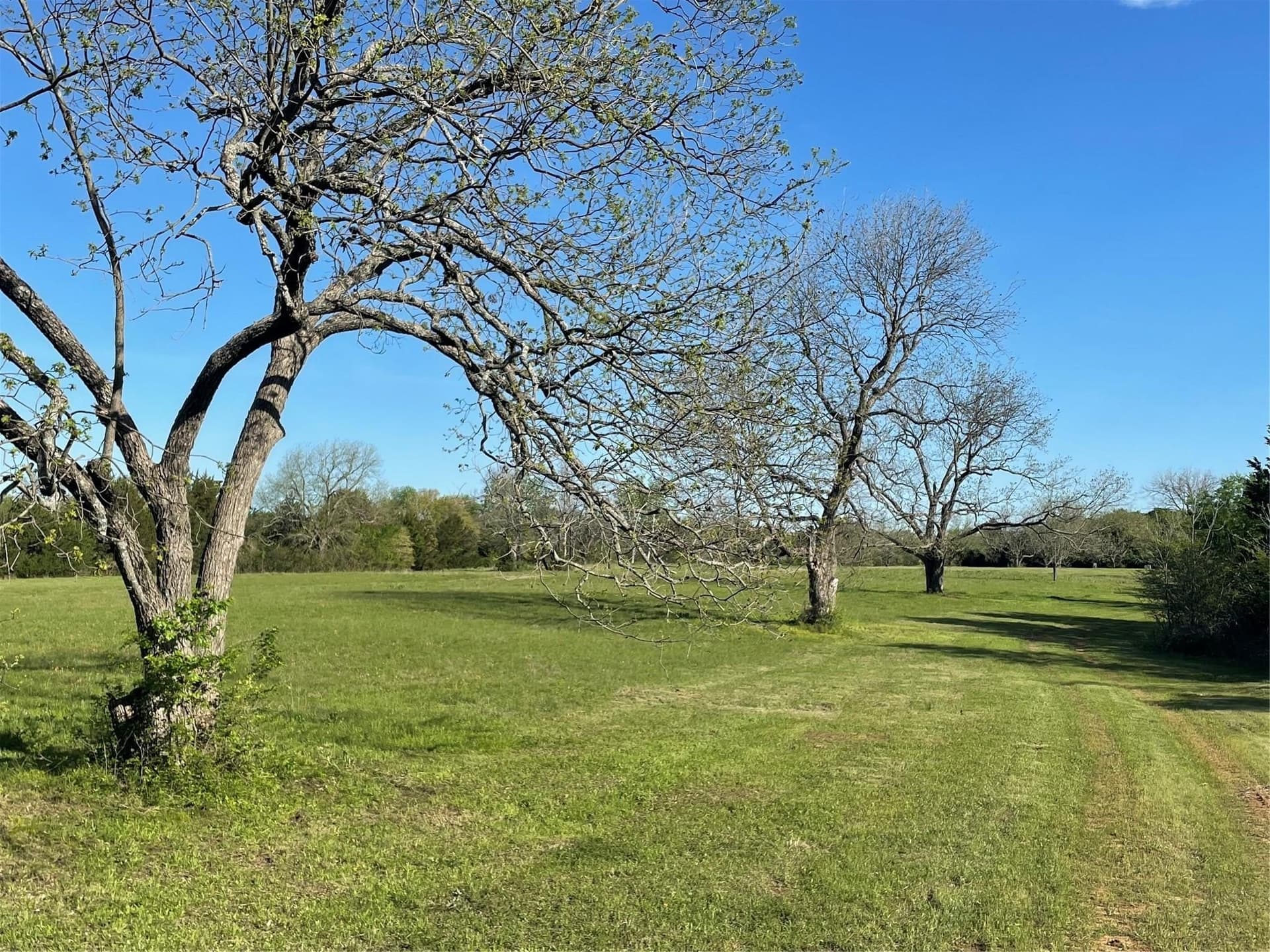 76.55 acres in Cooke County - photo 23