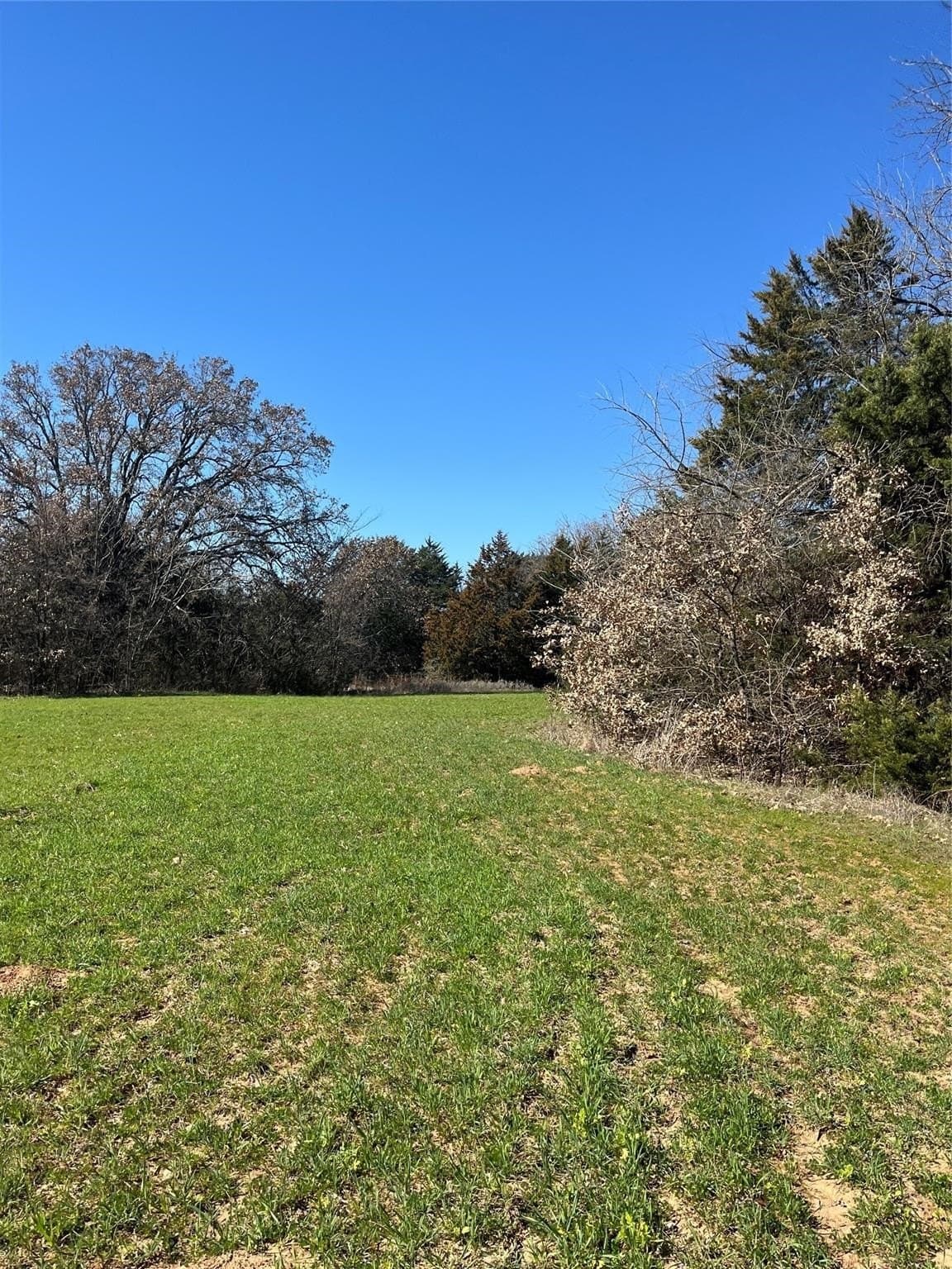 76.55 acres in Cooke County - photo 8