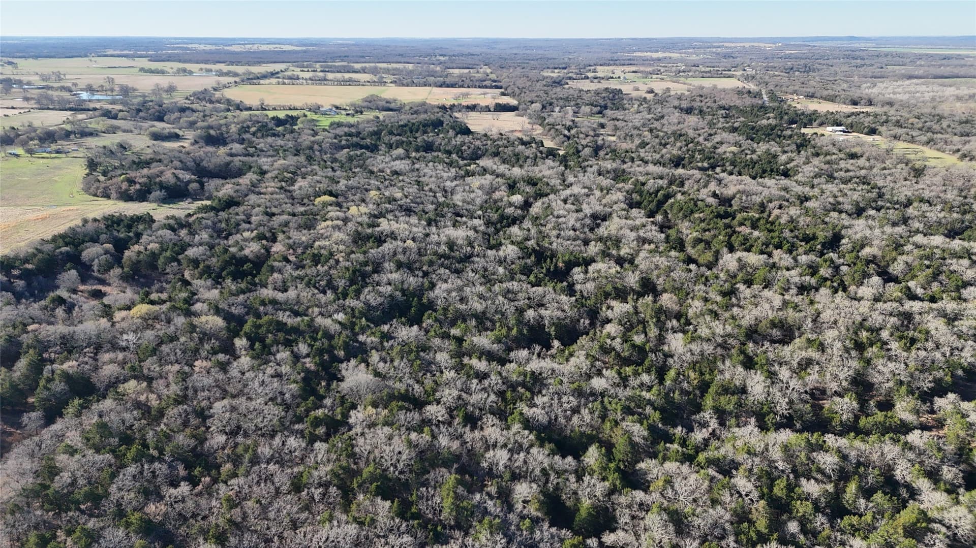 76.55 acres in Cooke County - photo 26