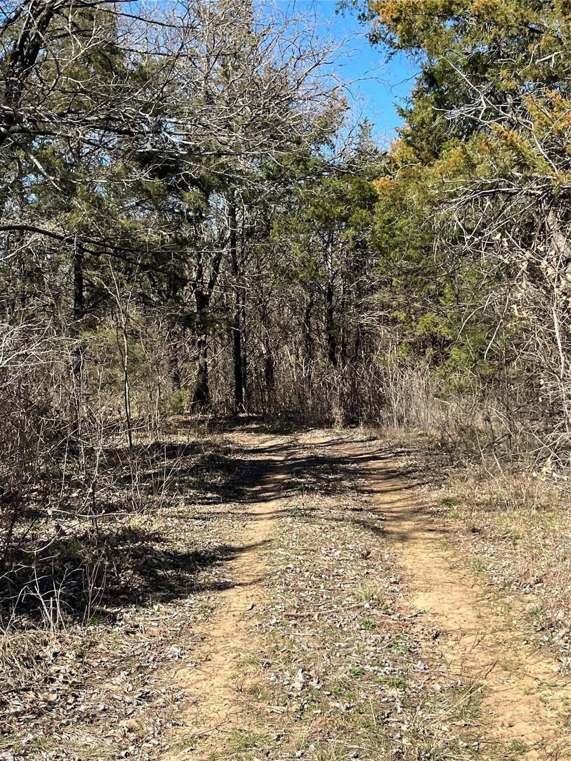 76.55 acres in Cooke County - photo 13