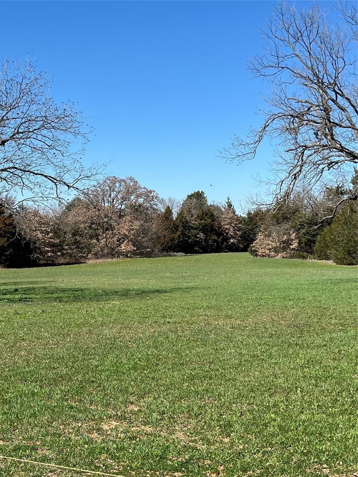 76.55 acres in Cooke County - photo 16