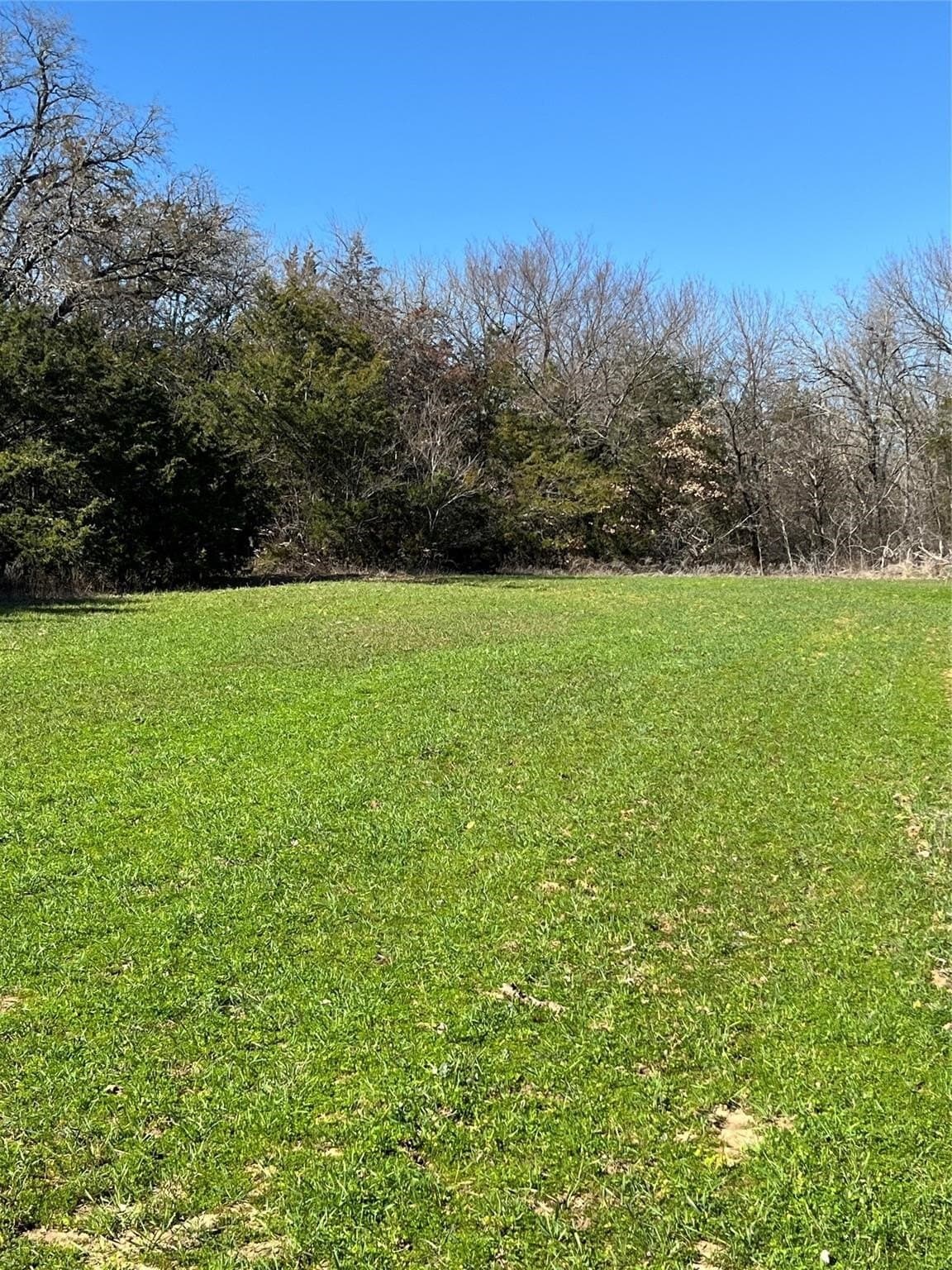 76.55 acres in Cooke County - photo 11