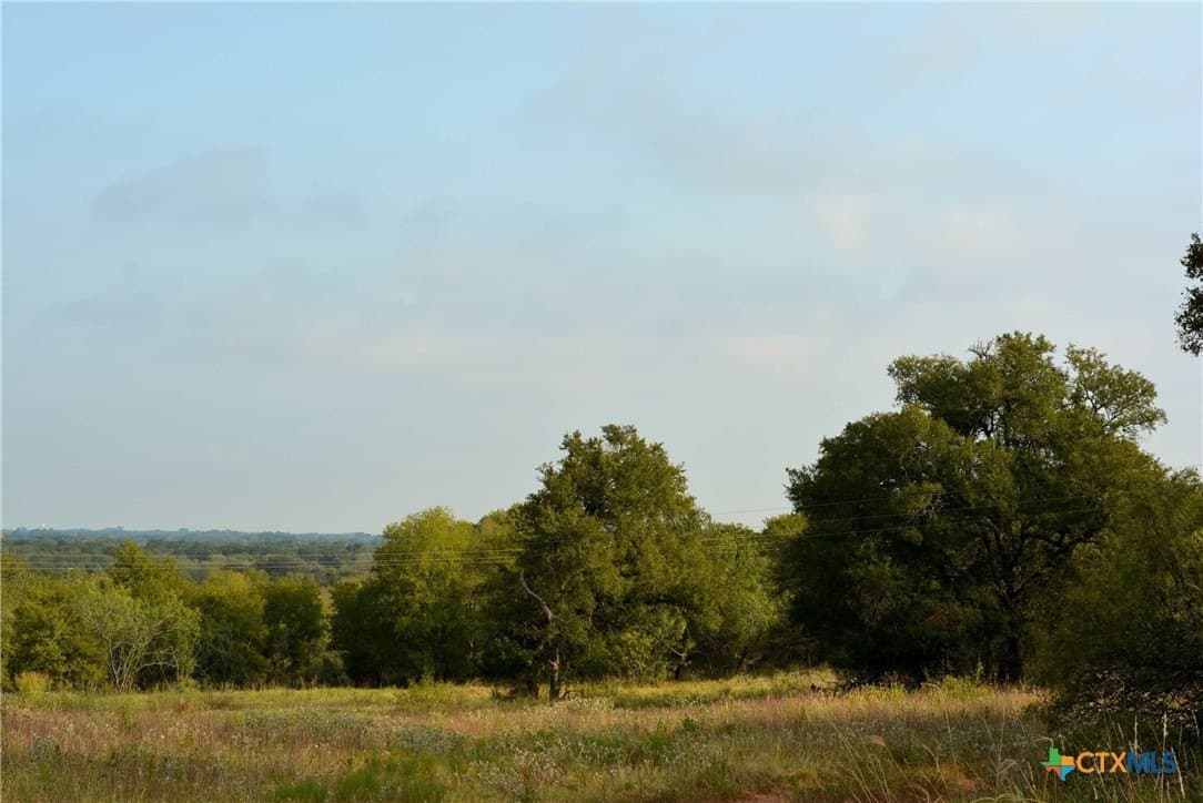 80 acres in Caldwell County gallery image 4