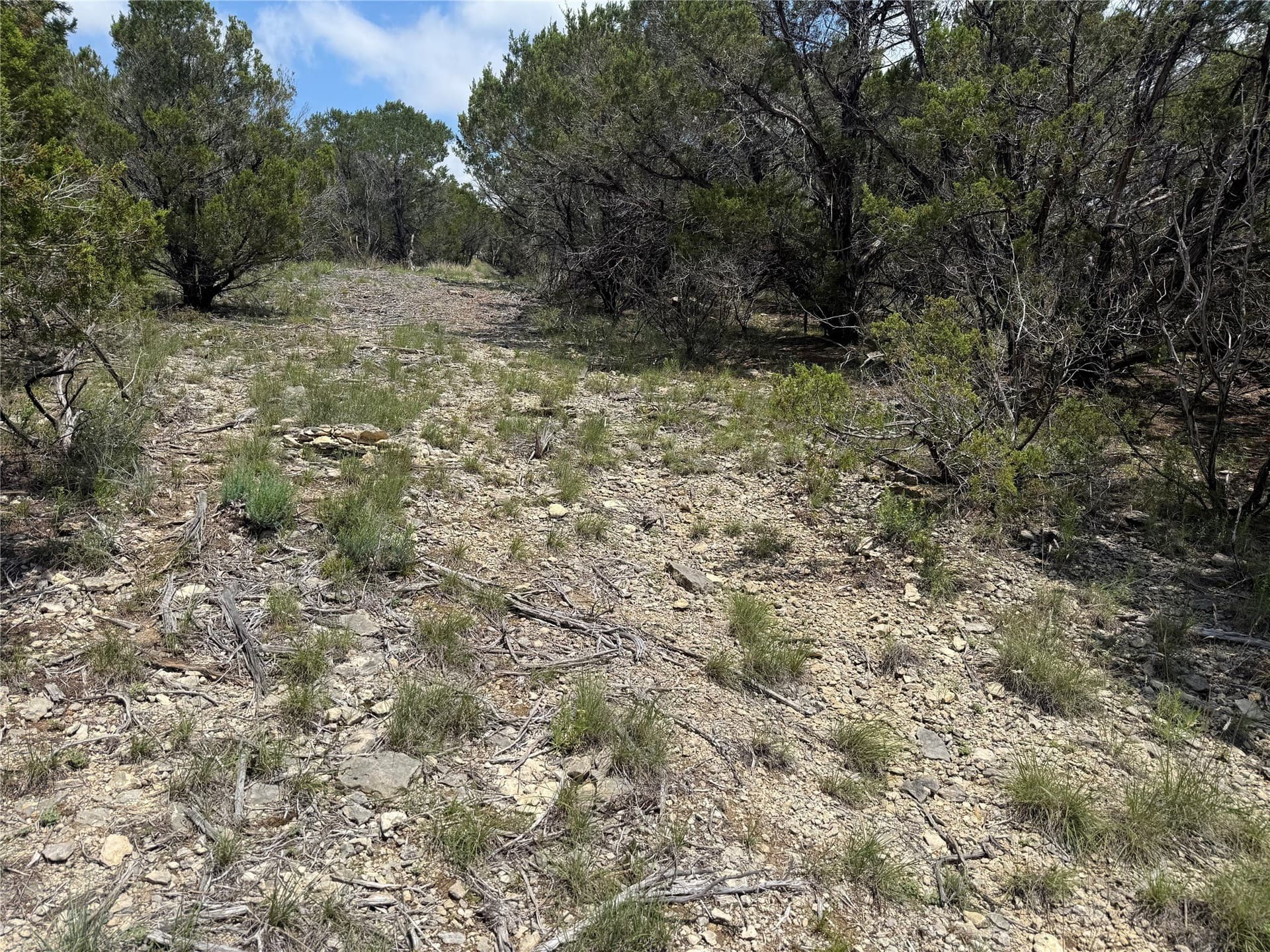 10 acres in Hood County - photo 6