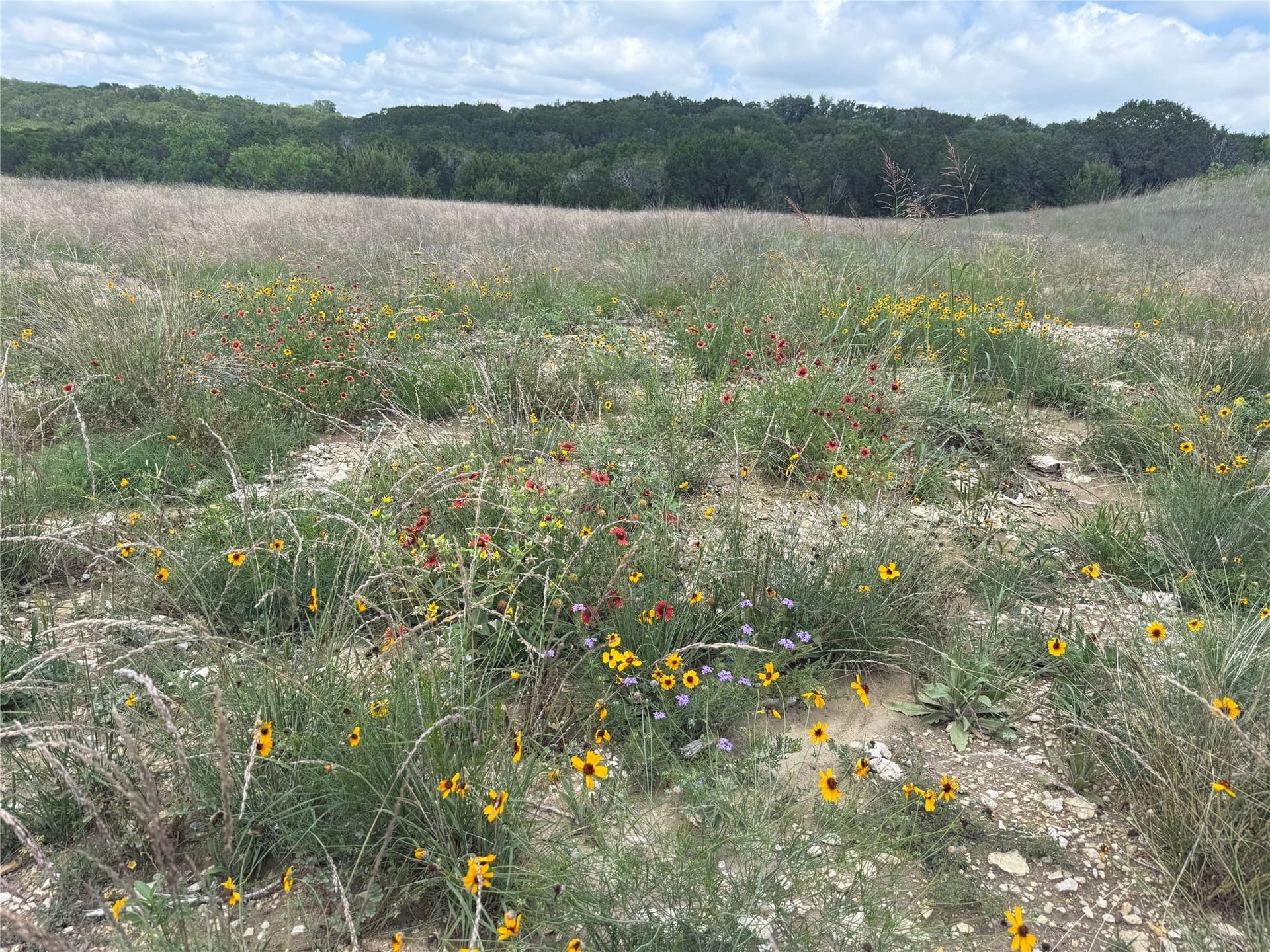 10 acres in Hood County - photo 14