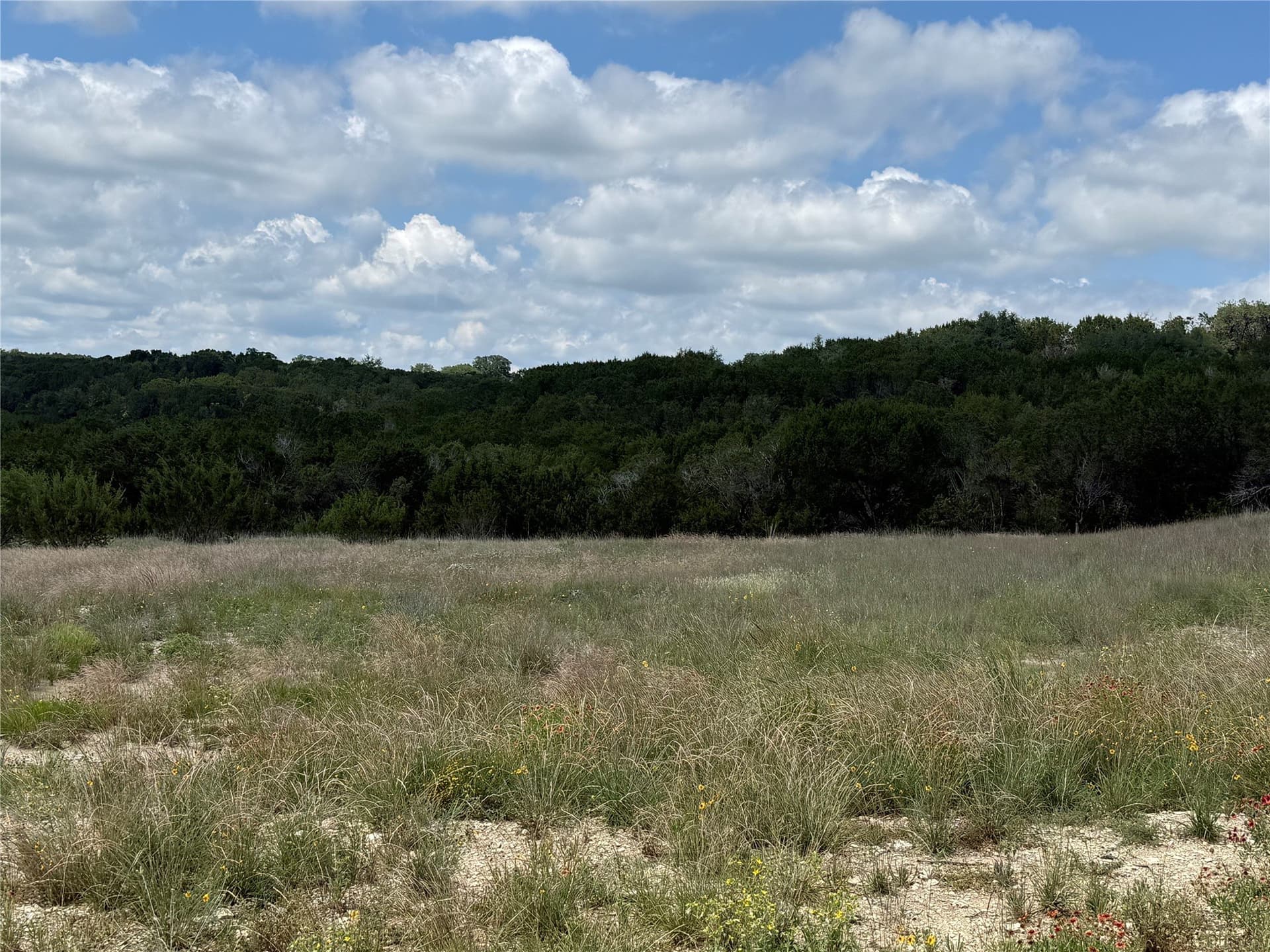10 acres in Hood County - photo 9