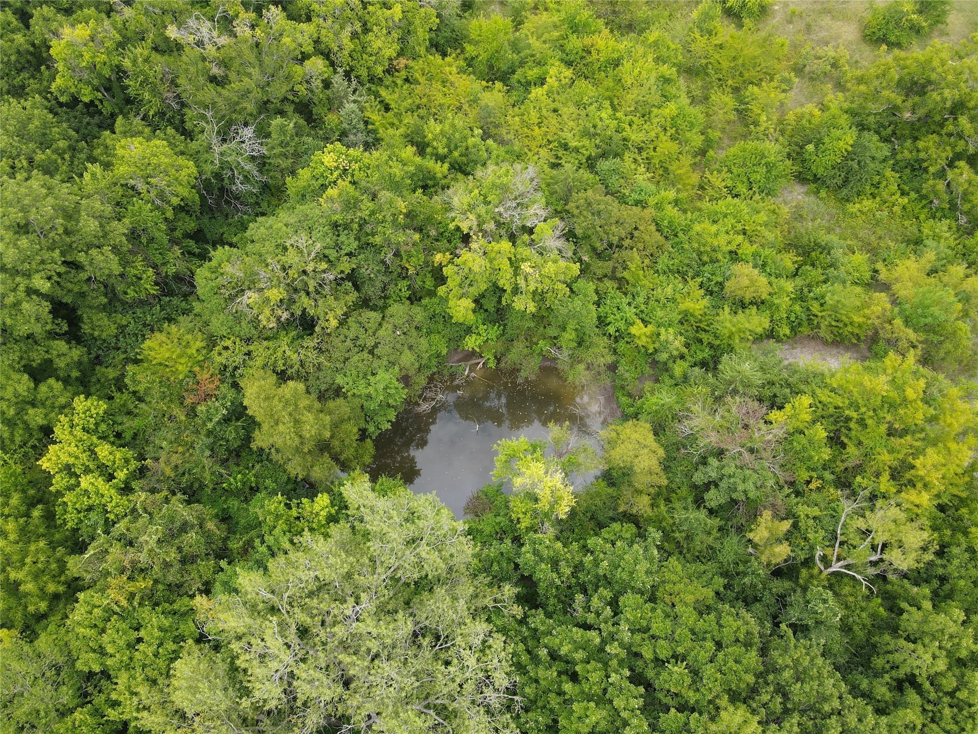 48.79 acres in Fannin County - photo 8
