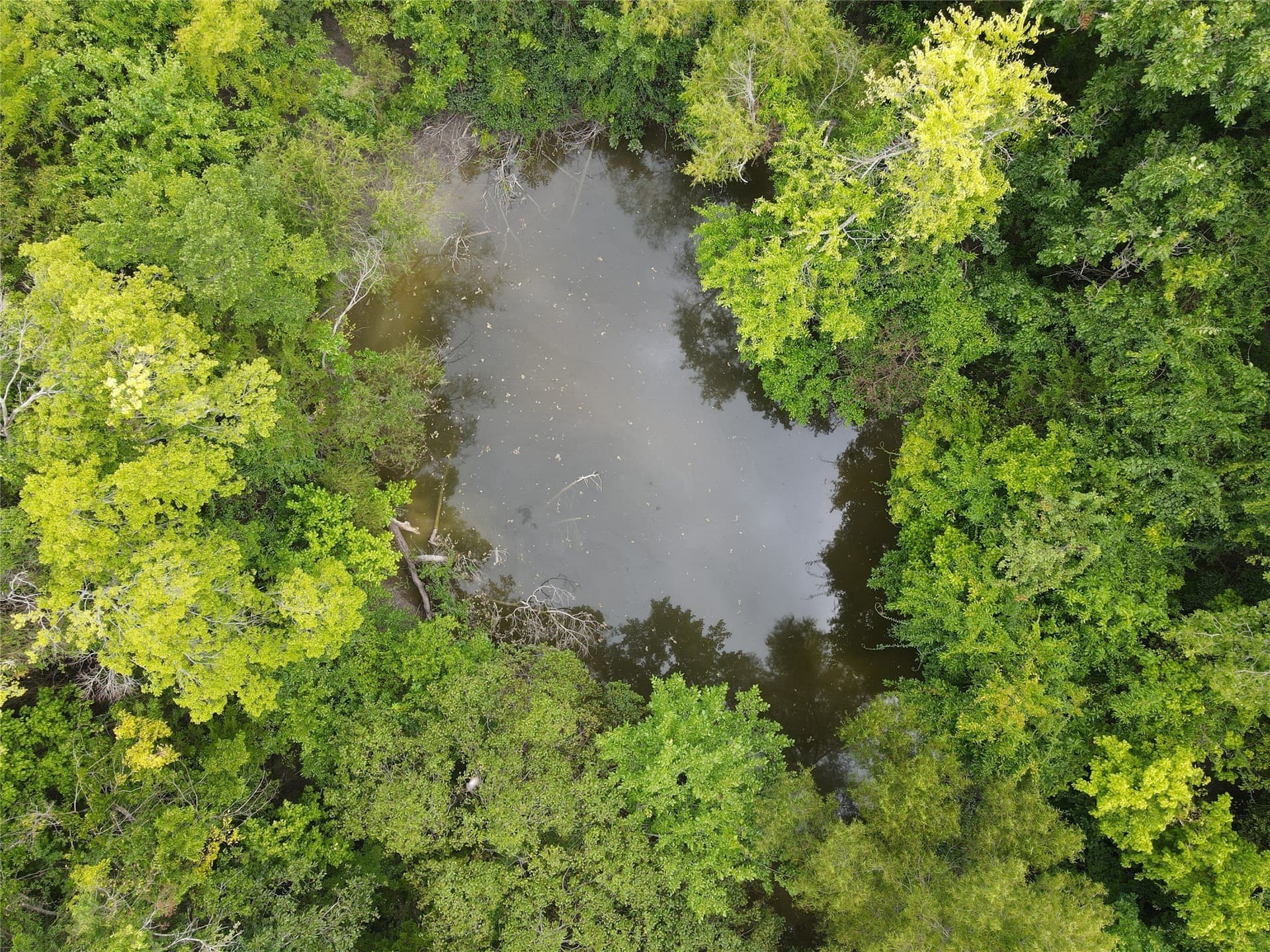 48.79 acres in Fannin County - photo 6