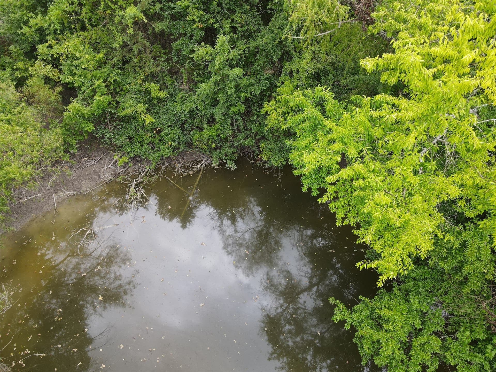 48.79 acres in Fannin County - photo 7