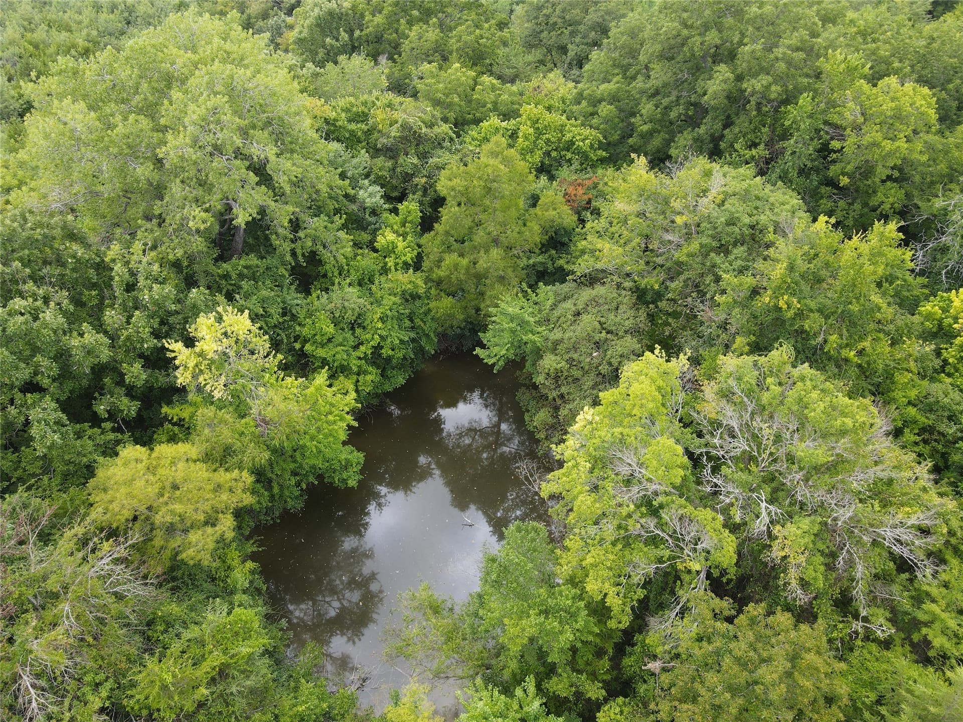 48.79 acres in Fannin County - photo 5