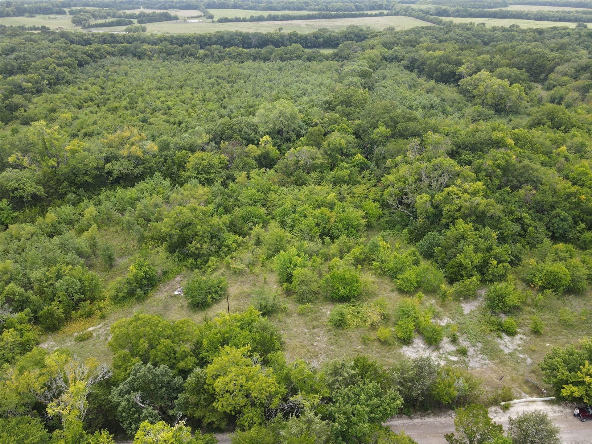 48.79 acres in Fannin County - photo 9