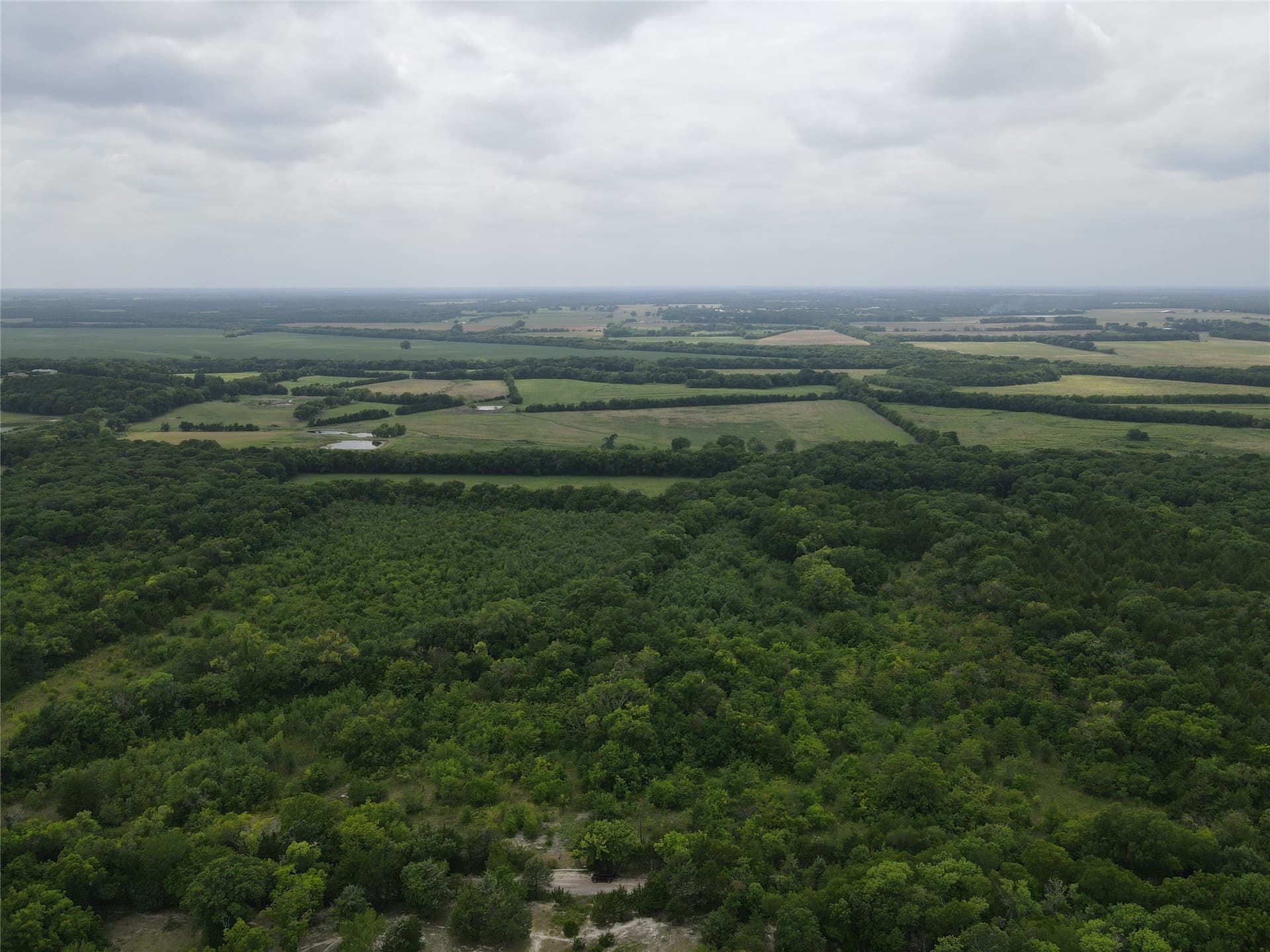 48.79 acres in Fannin County - photo 3