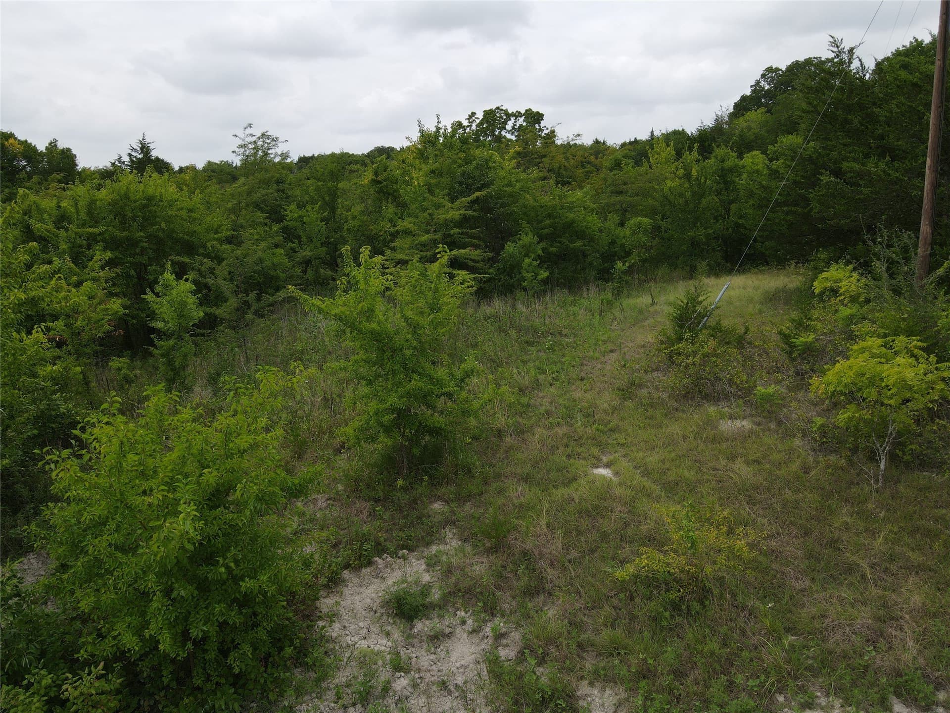 48.79 acres in Fannin County - photo 10