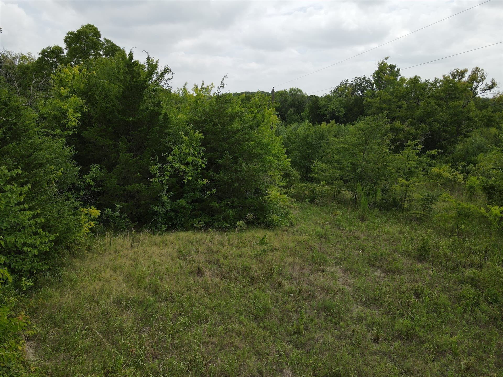 48.79 acres in Fannin County - photo 2