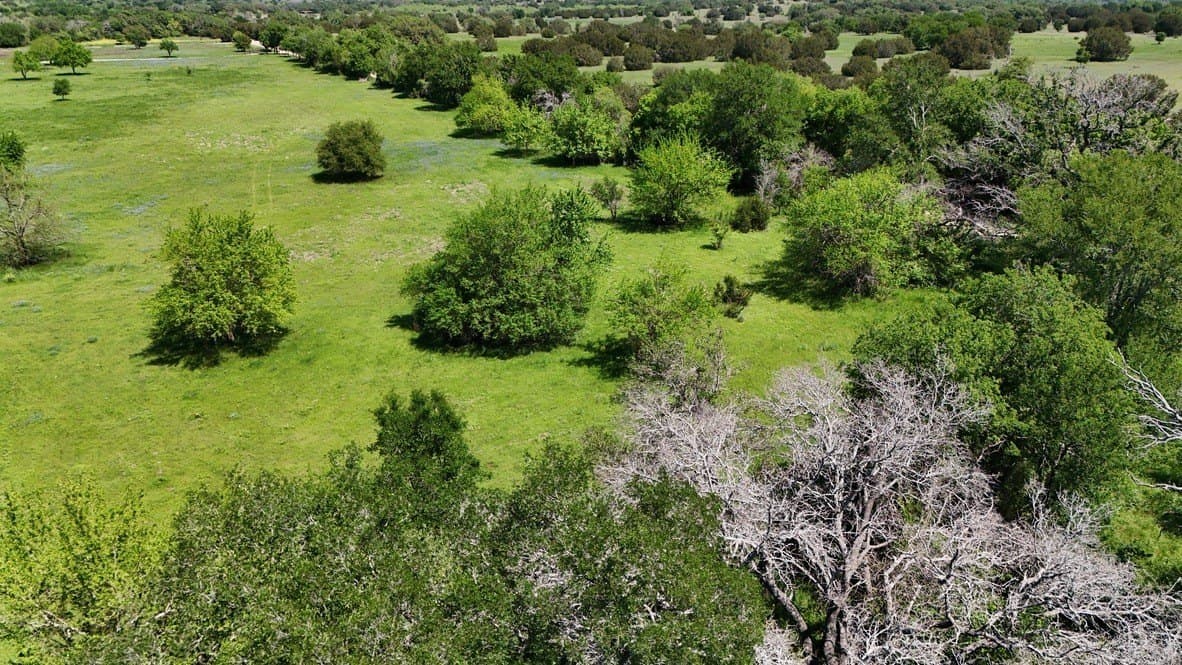 60 acres in Bosque County - photo 8