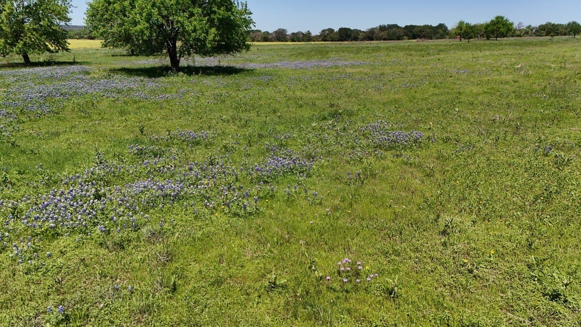 60 acres in Bosque County - photo 11