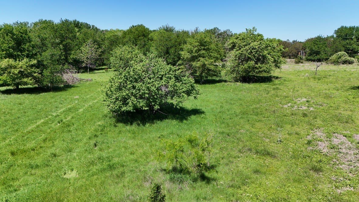 60 acres in Bosque County - photo 9