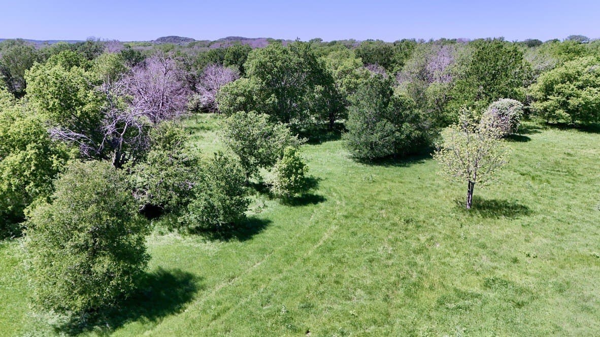 60 acres in Bosque County - photo 5