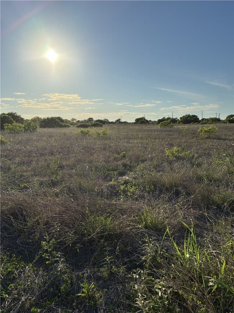 9.91 acres in San Patricio County featured view