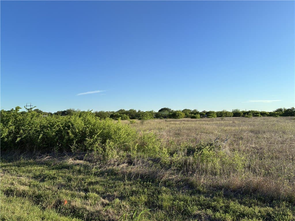 9.91 acres in San Patricio County gallery image 3