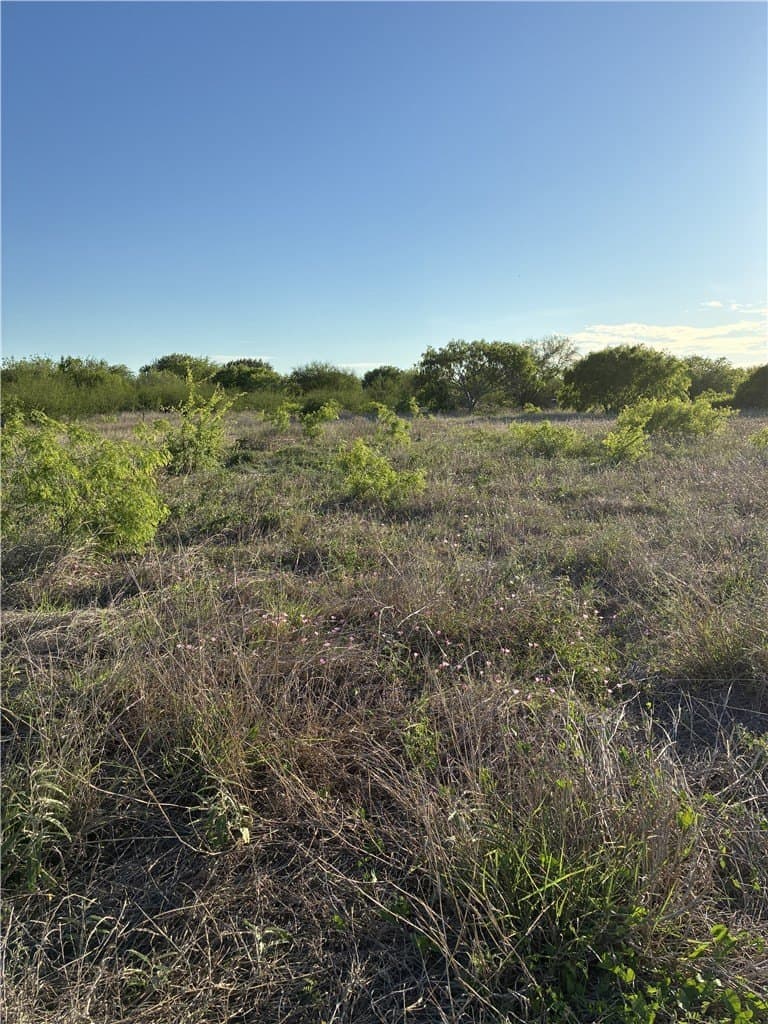 9.91 acres in San Patricio County gallery image 2