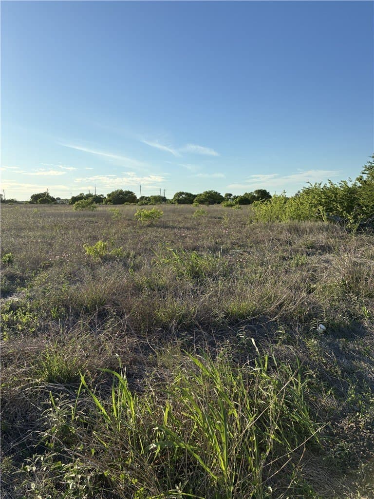 9.91 acres in San Patricio County gallery image 4