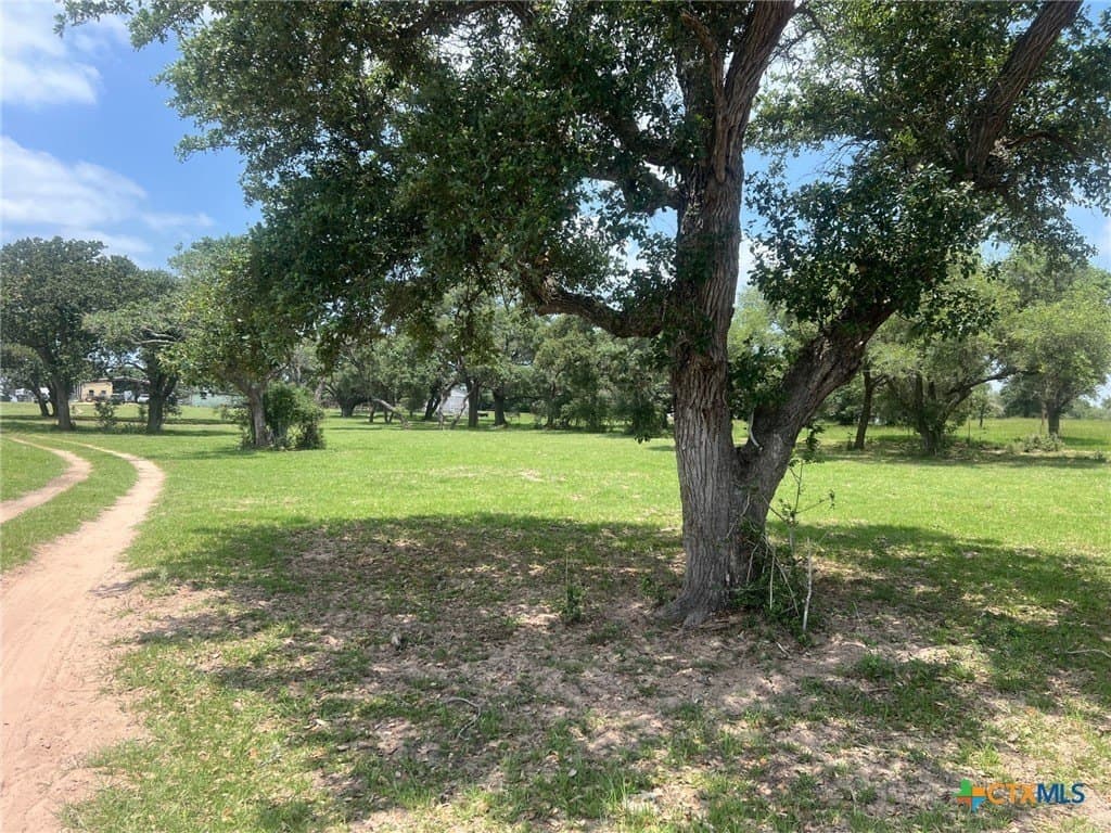 23.38 acres in Lavaca County gallery image 2