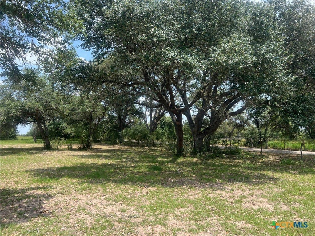 23.38 acres in Lavaca County gallery image 3