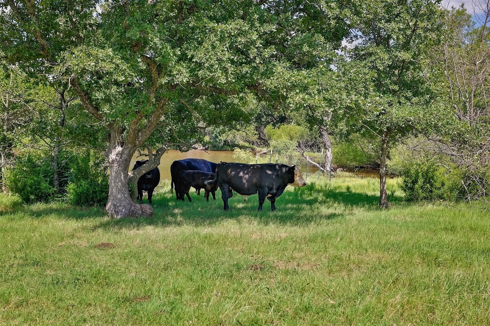 47.56 acres in Cooke County - photo 19
