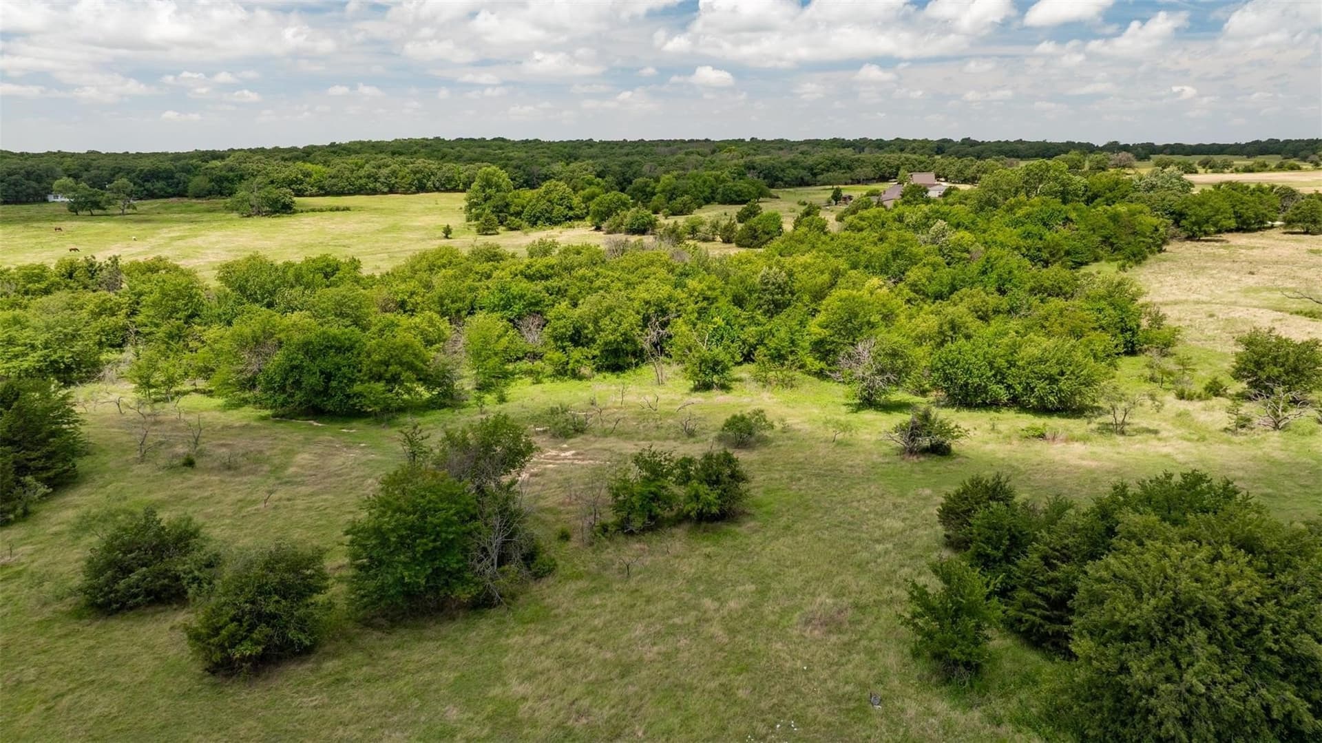 47.56 acres in Cooke County - photo 11