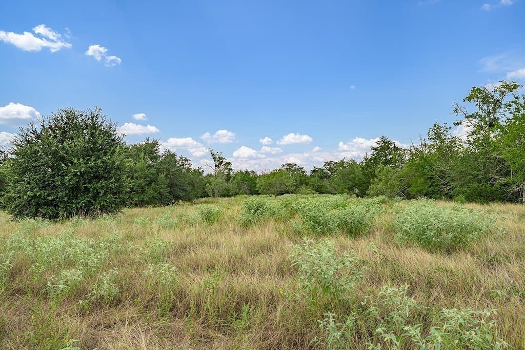 76.48 acres in Fayette County - photo 5