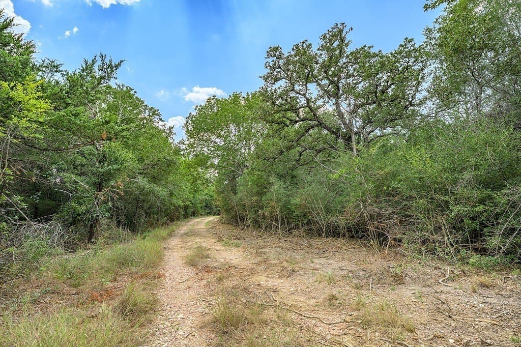 76.48 acres in Fayette County - photo 21