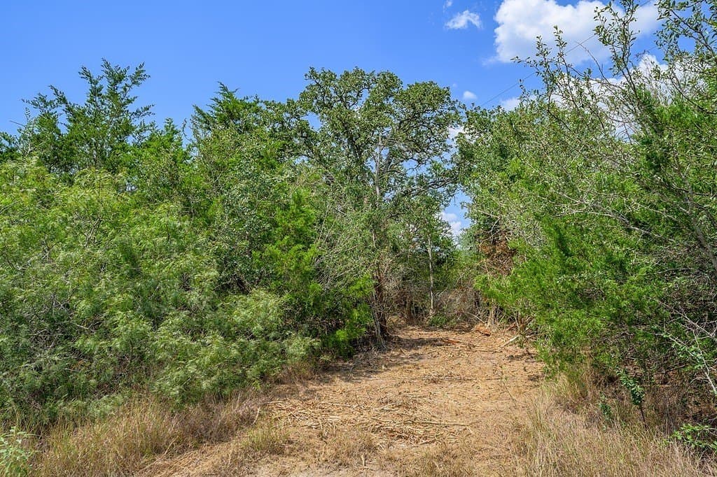 76.48 acres in Fayette County - photo 24