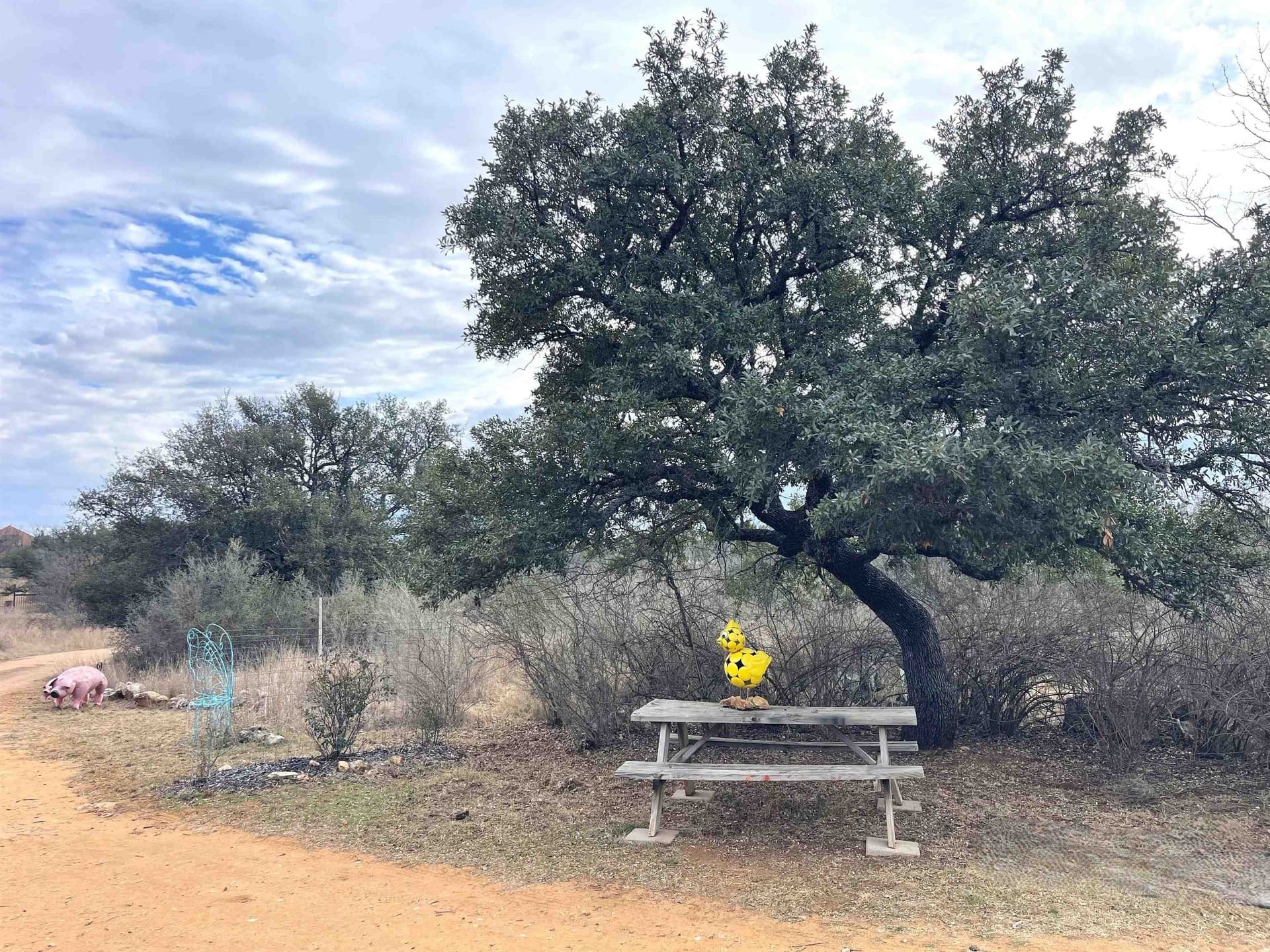5.55 acres in Llano County gallery image 3