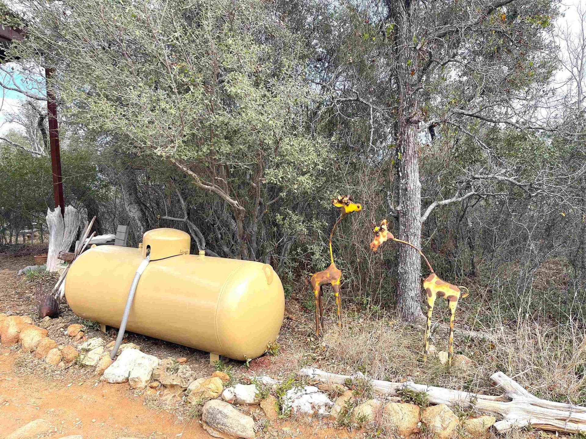 5.55 acres in Llano County gallery image 2