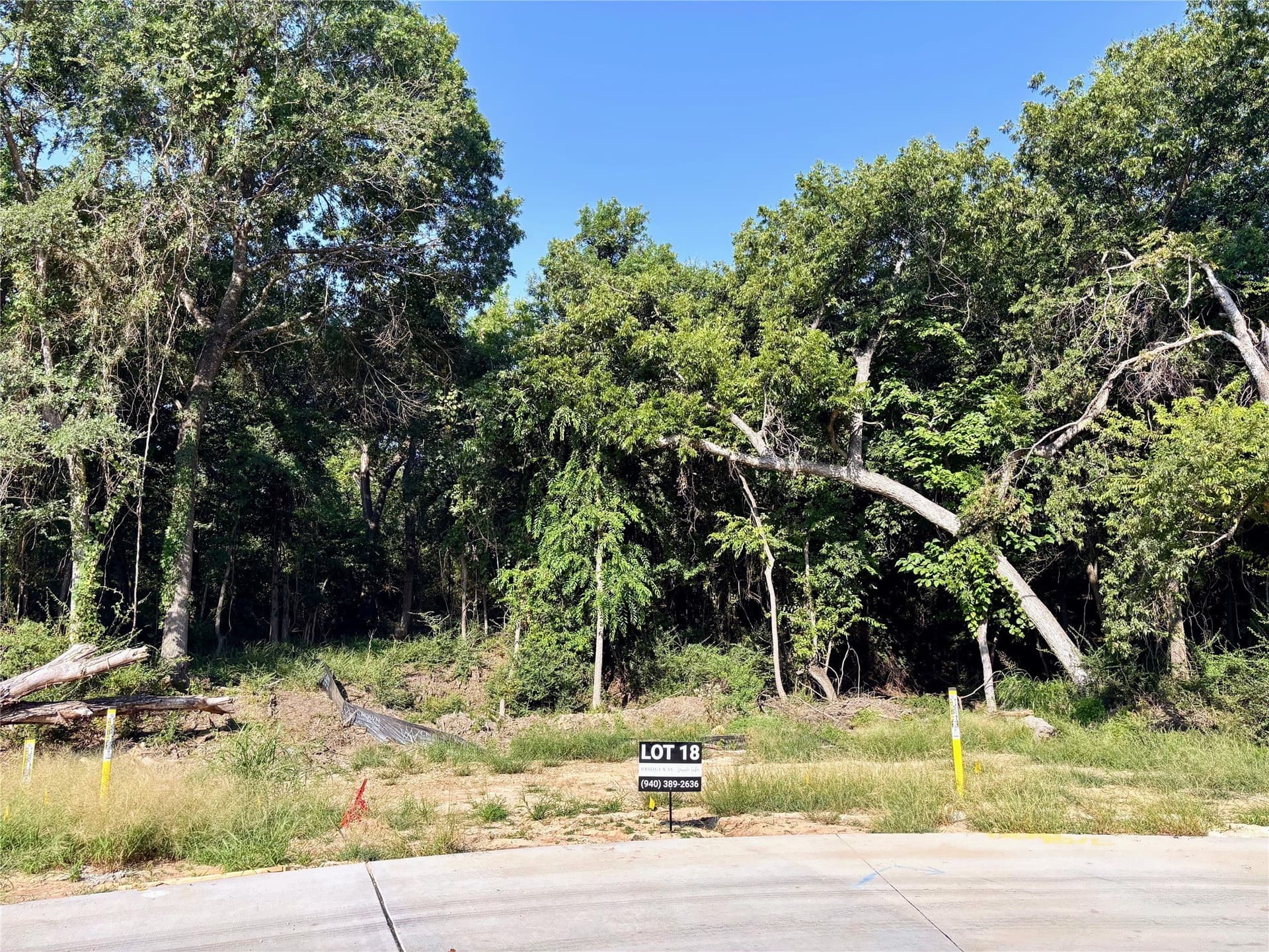 0.56 acres in Tarrant County - photo 2