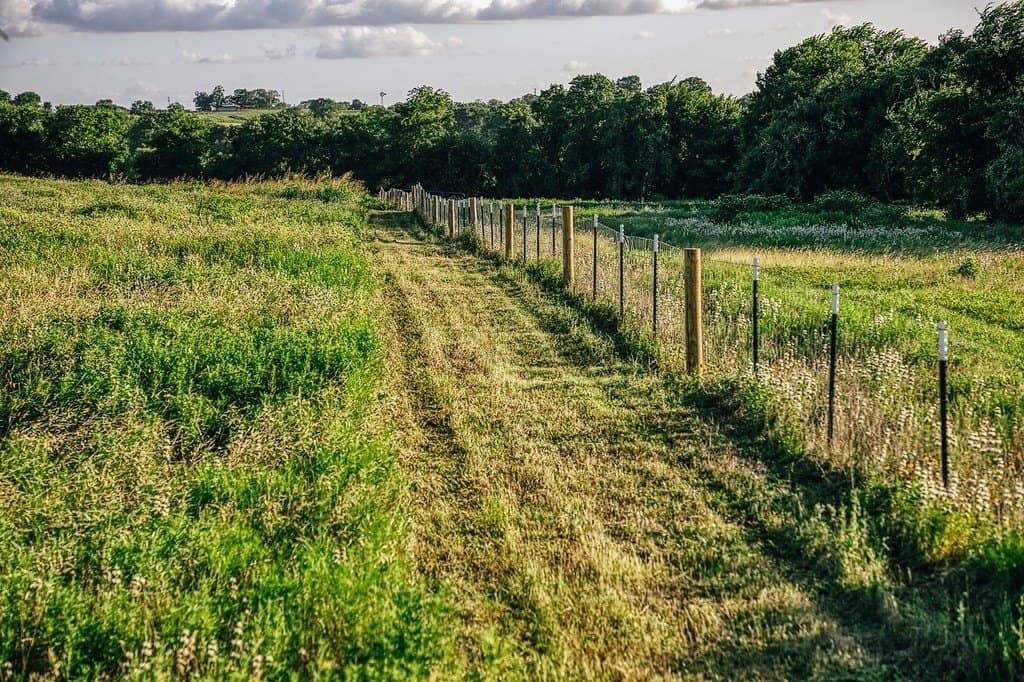 16.9 acres in Washington County - photo 9