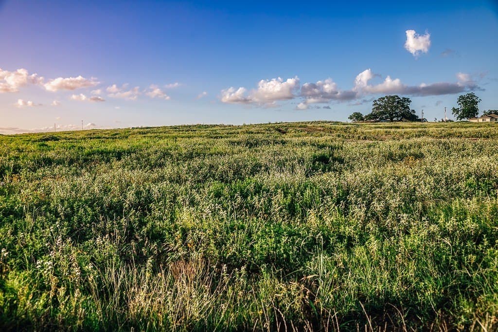 16.9 acres in Washington County - photo 18