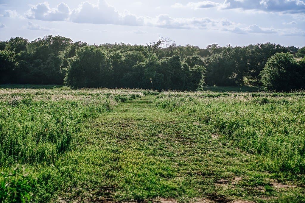 16.9 acres in Washington County - photo 26