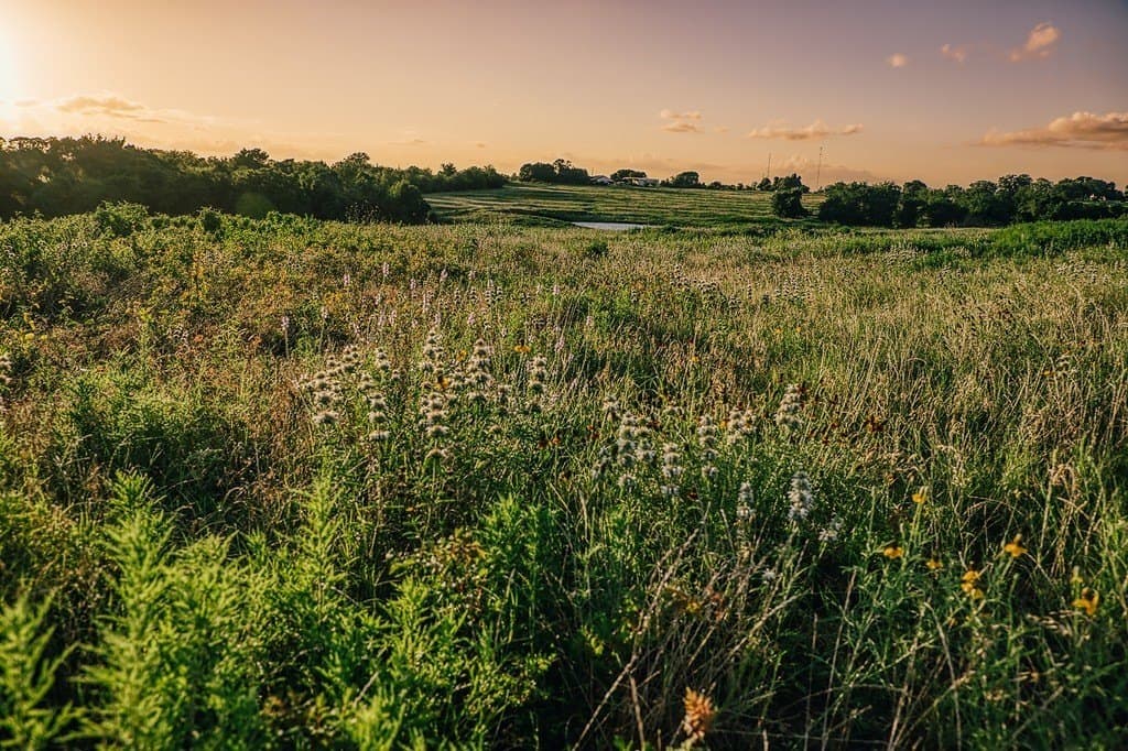 16.9 acres in Washington County - photo 16