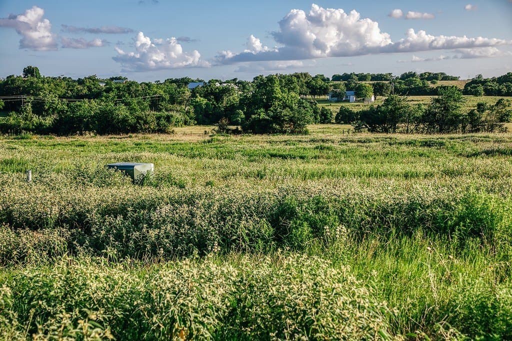 16.9 acres in Washington County gallery image 3