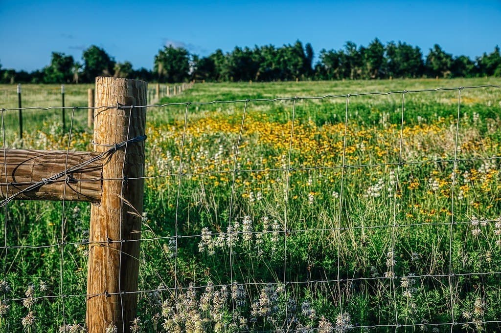 16.9 acres in Washington County - photo 10