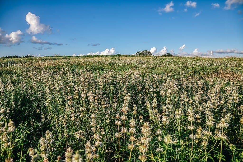 16.9 acres in Washington County - photo 19
