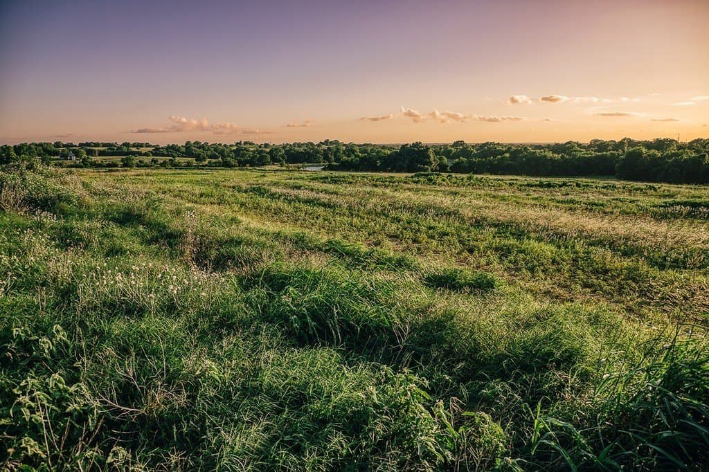 16.9 acres in Washington County - photo 17