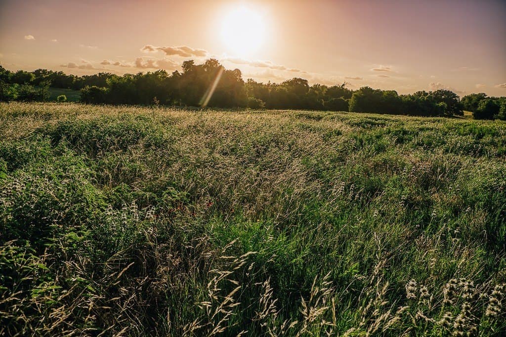 16.9 acres in Washington County - photo 21