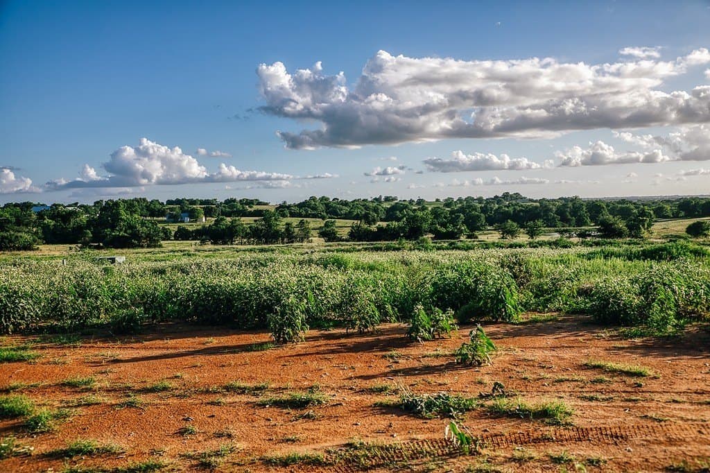16.9 acres in Washington County - photo 8