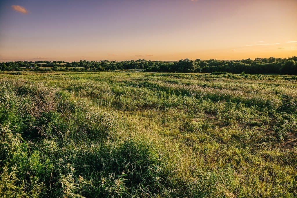 16.9 acres in Washington County - photo 15
