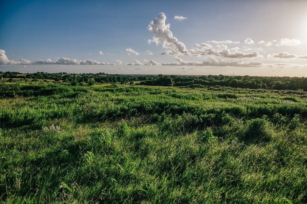 16.9 acres in Washington County featured view